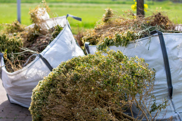 Best Residential Junk Removal  in Bethany, IL